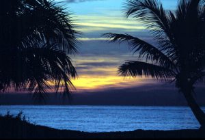 Morning_Dawns_at_Smathers_Beach-_Key_West,_Florida_(8079715772)